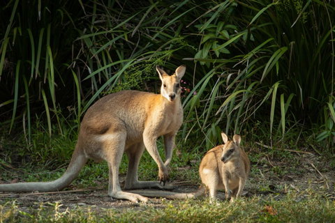 Thala Beach Nature Reserve - Lismore Accommodation 2