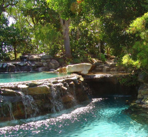 Thala Beach Nature Reserve - Lismore Accommodation 29