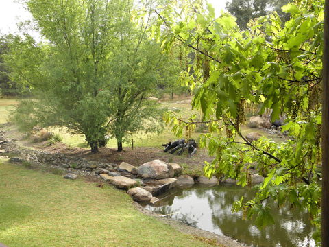 Granite Belt Retreat And Brewery - Lismore Accommodation 21