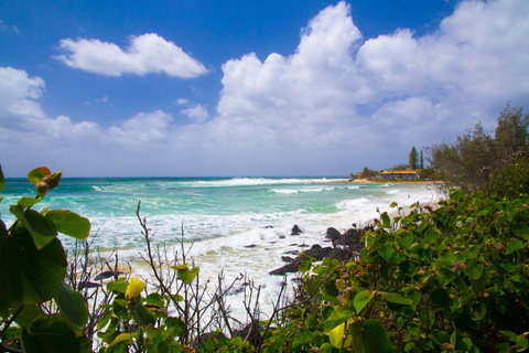 Rainbow Bay Backpackers - Lismore Accommodation 0