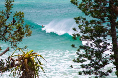 Rainbow Bay Backpackers - Lismore Accommodation 15