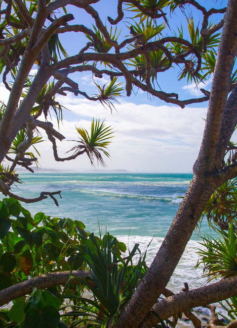 Rainbow Bay Backpackers - Lismore Accommodation 26