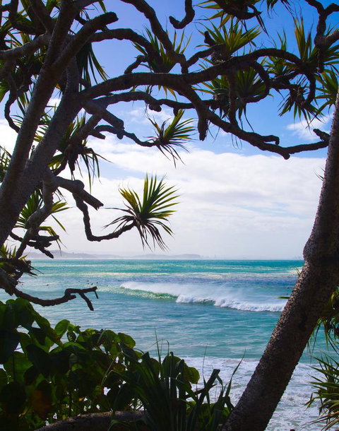 Rainbow Bay Backpackers - Lismore Accommodation 25