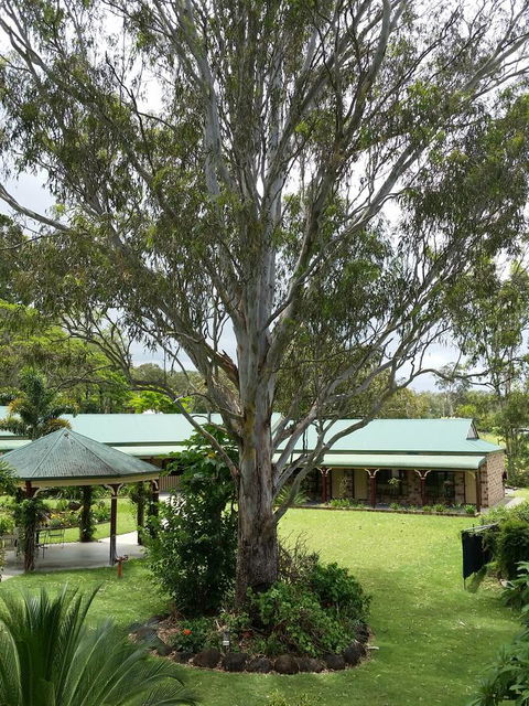 The Bearded Dragon Boutique Hotel - Lismore Accommodation 32