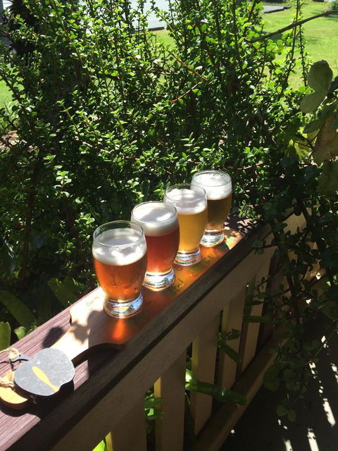 The Bearded Dragon Boutique Hotel - Lismore Accommodation 31