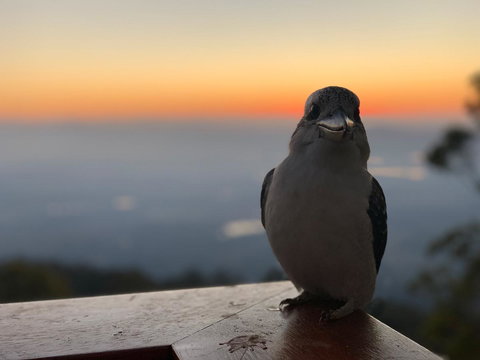 The Polish Place - Lismore Accommodation 2