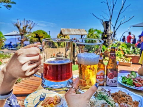 The Polish Place - Lismore Accommodation 1