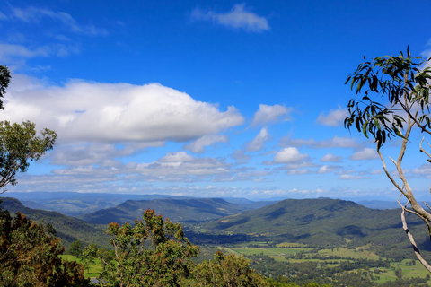 The Polish Place - Lismore Accommodation 10