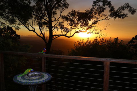 The Polish Place - Lismore Accommodation 17