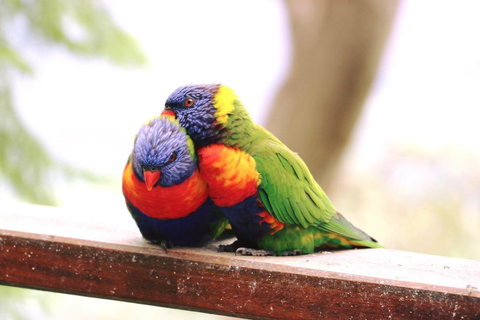 The Polish Place - Lismore Accommodation 9