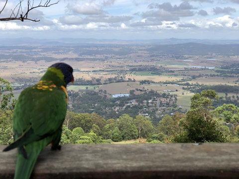 The Polish Place - Lismore Accommodation 6