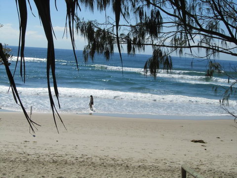 Le Beach Apartments - Lismore Accommodation 16