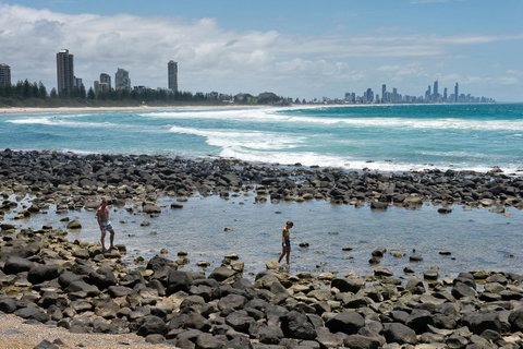 Oceania On Burleigh Beach - Lismore Accommodation 42