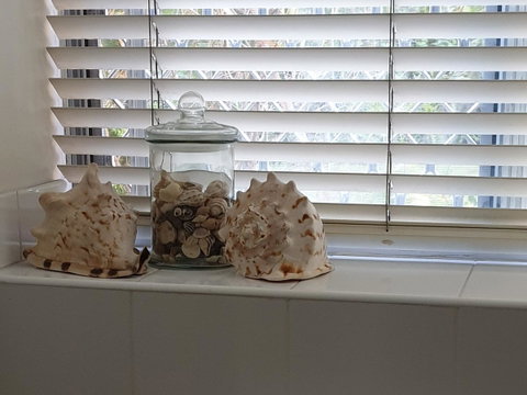Oceania On Burleigh Beach - Lismore Accommodation 14