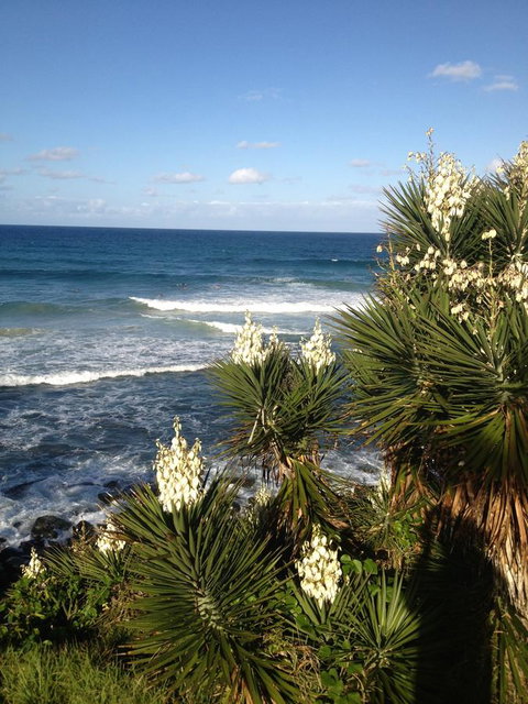Oceania On Burleigh Beach - Lismore Accommodation 23