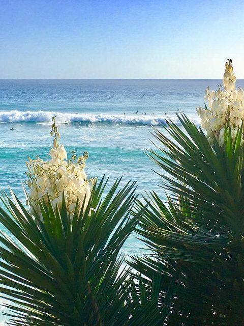 Oceania On Burleigh Beach - Lismore Accommodation 21