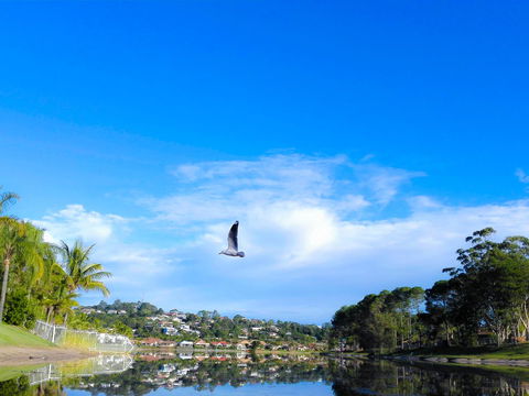 Bay Of Palms - Lismore Accommodation 18