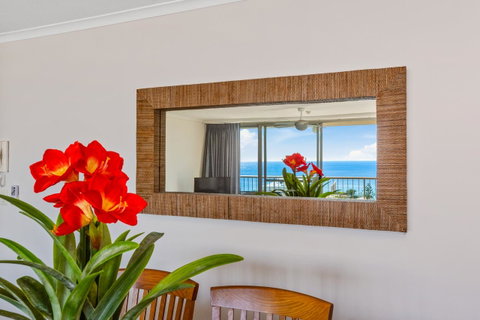 Rainbow Commodore Coolangatta - Lismore Accommodation 5