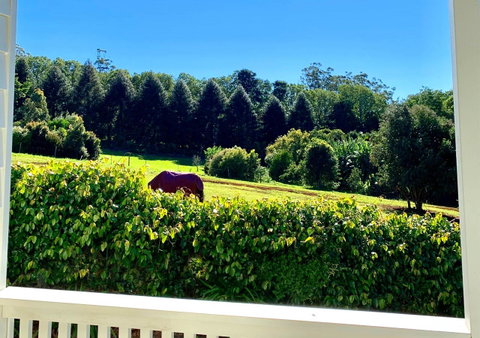 Hampton Estate Wines - Lismore Accommodation 11