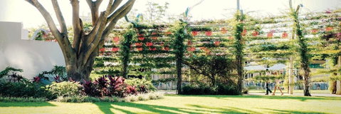 Vine Apartments South Brisbane - Lismore Accommodation 19