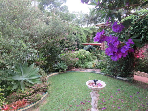 Shasta Place - Lismore Accommodation 4