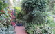 Shasta Place - thumb 5