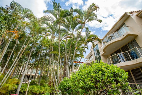 Miami Beachside Holiday Apartments - Lismore Accommodation 7