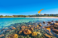 Whale View - Grand Luxurious Beachfront Home