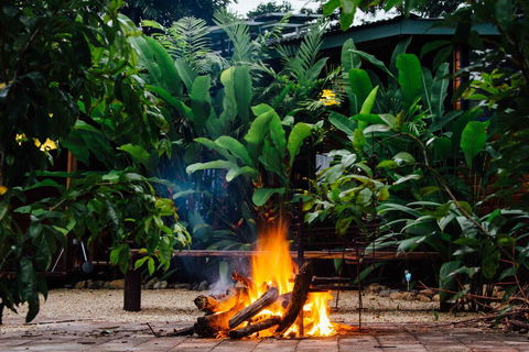 Wildwood - Lismore Accommodation 2