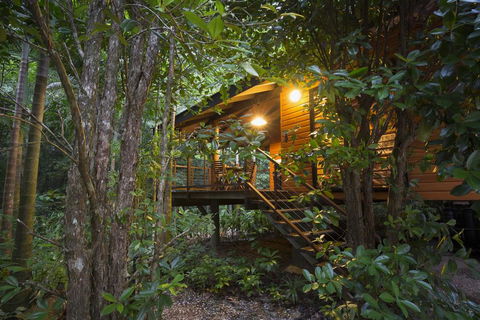 Wildwood - Lismore Accommodation 0