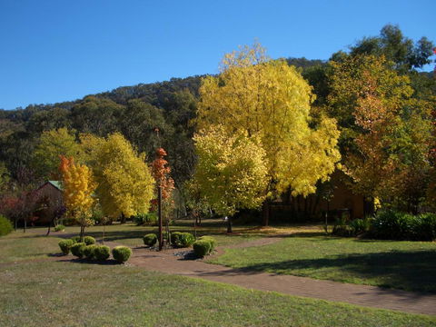 Willowlake Cottages - Lismore Accommodation 0