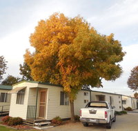Wodonga Caravan  Cabin Park - Lismore Accommodation