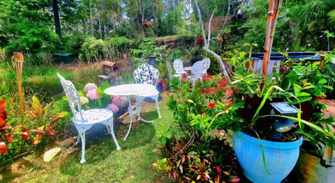 B&B Gold Coast Hinterland - Lismore Accommodation 0