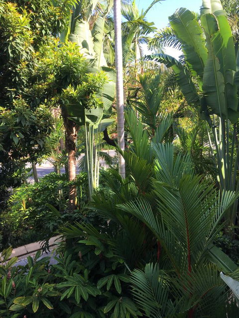 Port Douglas Apartments - Adults Only Oasis - Lismore Accommodation 1