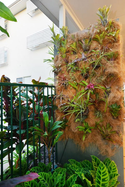 Port Douglas Apartments - Adults Only Oasis - Lismore Accommodation 27