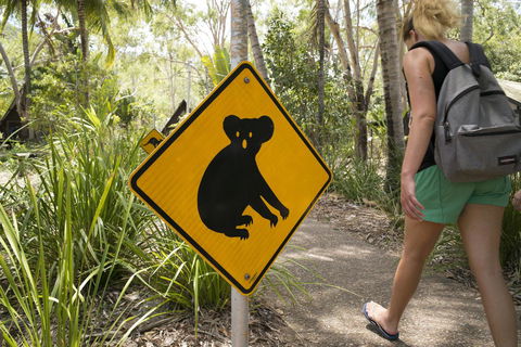 Roamer Magnetic Island Koala Park - Formerly Selina Magnetic Island - Lismore Accommodation 27