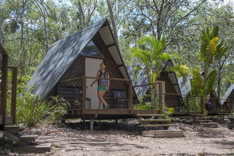 Roamer Magnetic Island Koala Park - Formerly Selina Magnetic Island - Lismore Accommodation 5