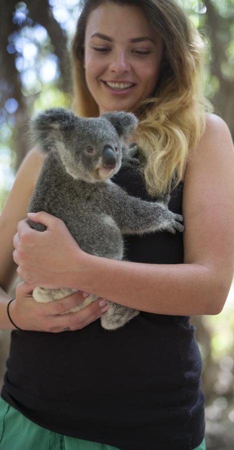 Roamer Magnetic Island Koala Park - Formerly Selina Magnetic Island - Lismore Accommodation 12