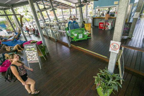 Roamer Magnetic Island Koala Park - Formerly Selina Magnetic Island - Lismore Accommodation 19