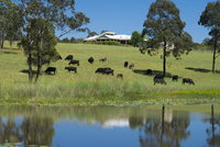 Book Nabiac Accommodation Vacations Lismore Accommodation Lismore Accommodation