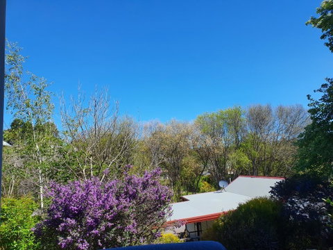 Abelia Cottages SPA LAKESIDE COTTAGE NO 1 - Lismore Accommodation 2