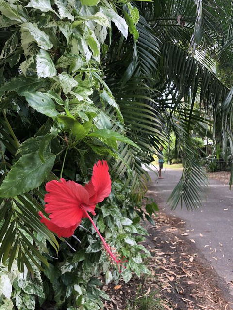Absolute Beach Frontage, Family Friendly, Home Away From Home - Lismore Accommodation 1