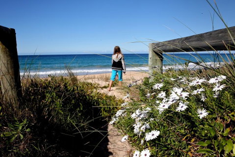 Absolute Beachfront Mollymook - Lismore Accommodation 3