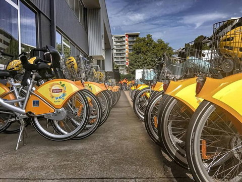 Experience More So Local - Lismore Accommodation 2