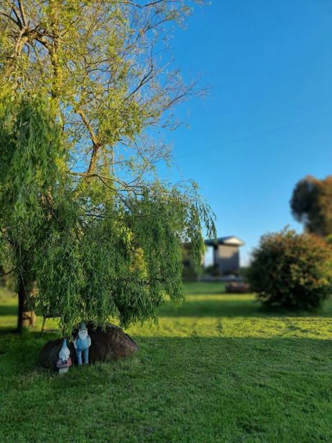Farmstay@Morgans - Lismore Accommodation 2