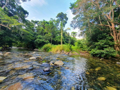 Gap Creek Cabin - Lismore Accommodation 2