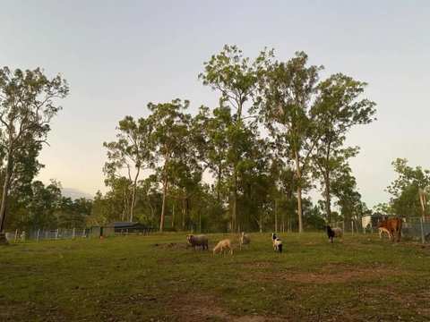 Gemmas Animal Farm By Tiny Away - Lismore Accommodation 1
