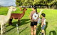 GORGE Chocolates Farmhouse - thumb 4