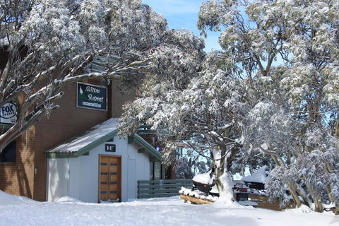 Alpine Retreat Mt Buller - Lismore Accommodation 0