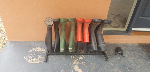 Altitude221 - Lismore Accommodation 2